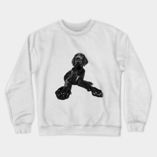 Great Dane Puppy Dog Crewneck Sweatshirt